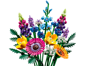 Bouquet de fleurs sauvages