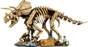 Les fossiles de dinosaure : le tricératops