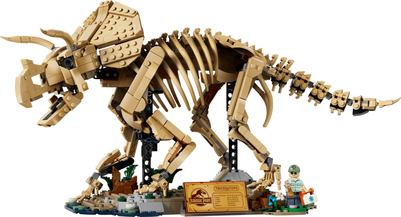 Le set LEGO 77985 Les fossiles de dinosaure: le tricératops