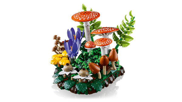 Woodland Mushrooms - Image 5