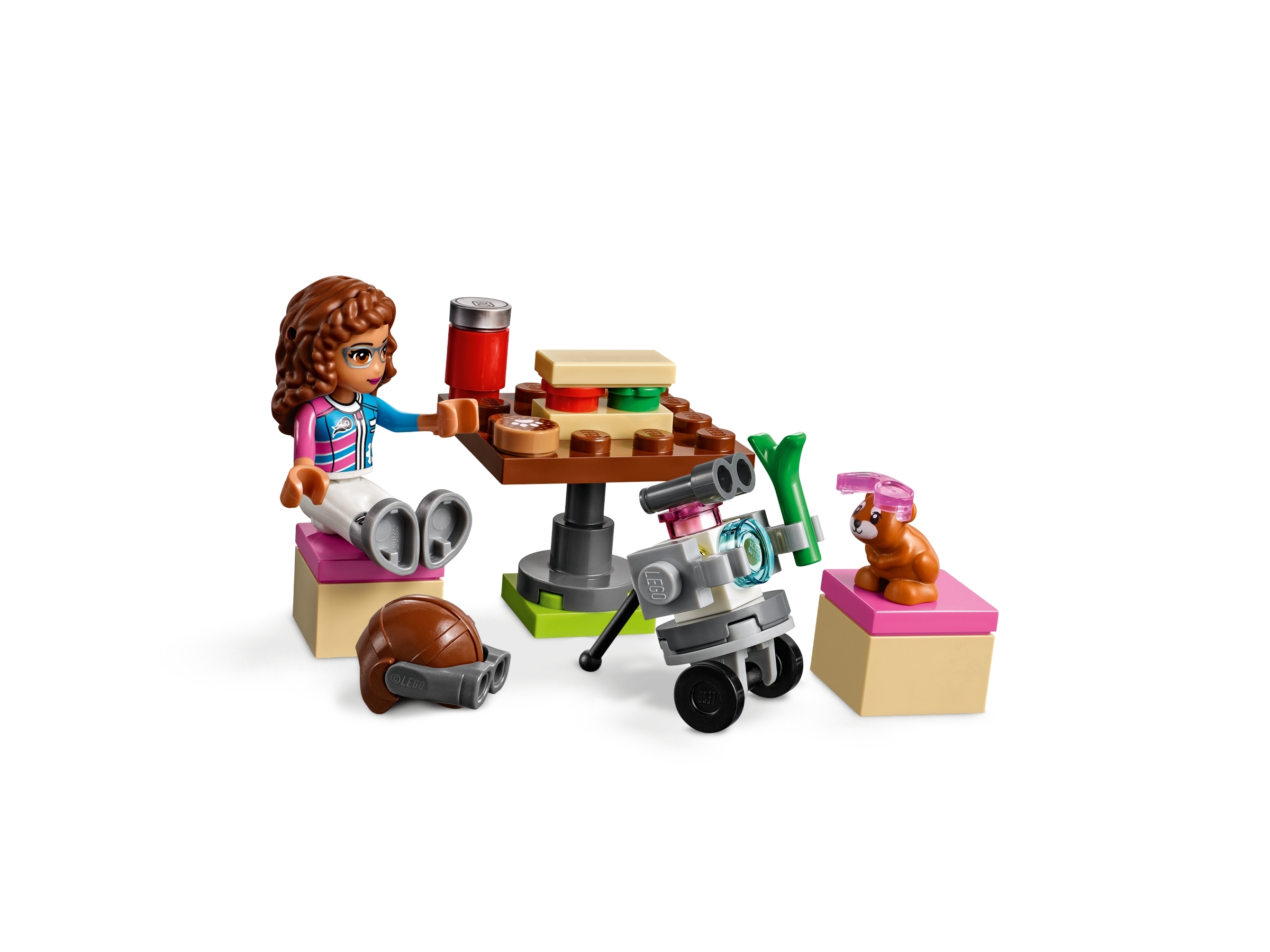 Airplane Tour | Friends | Buy online at the Official LEGO® Shop US