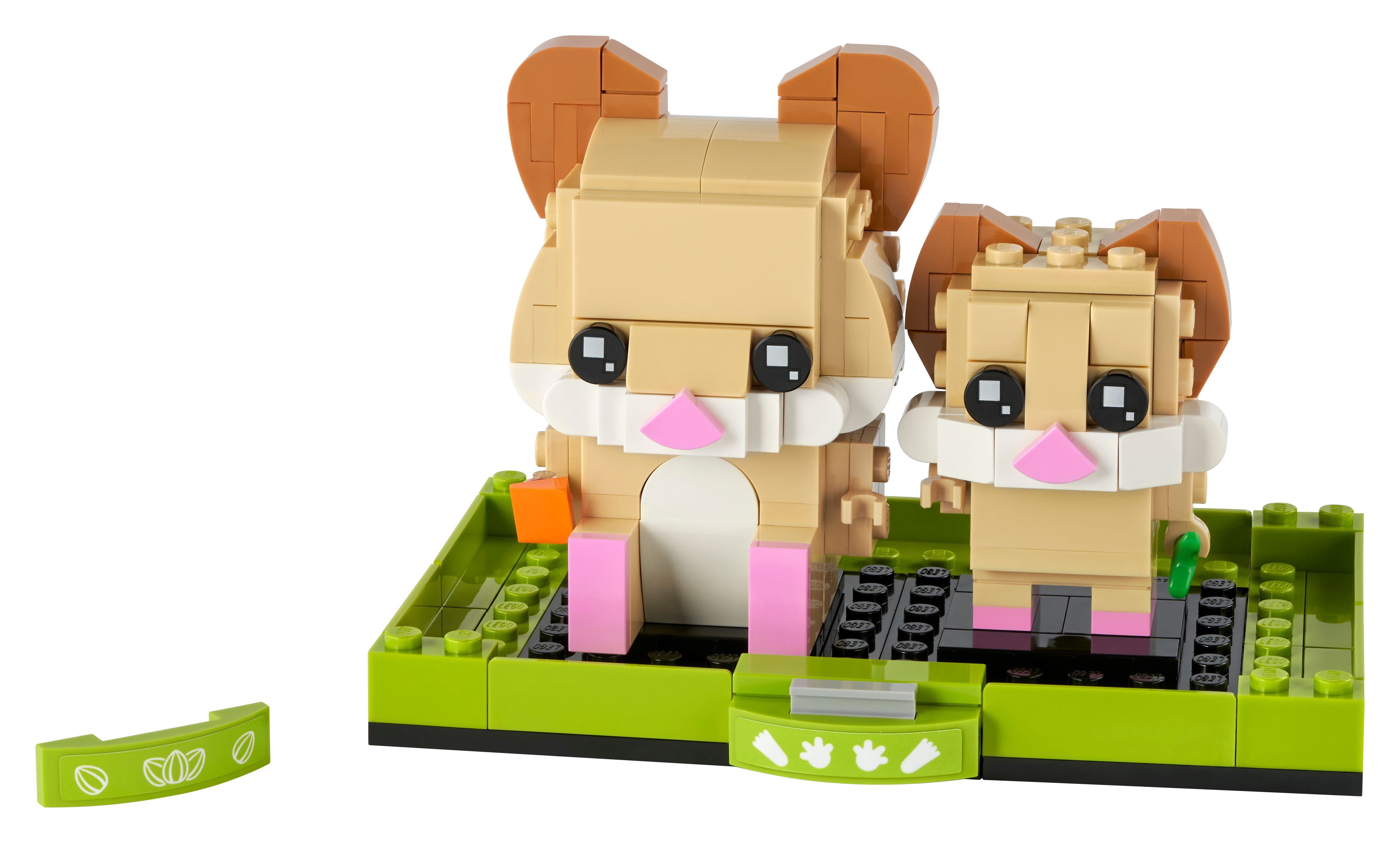 Image of Hamster
