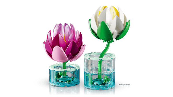 Water Lilies - Image 7