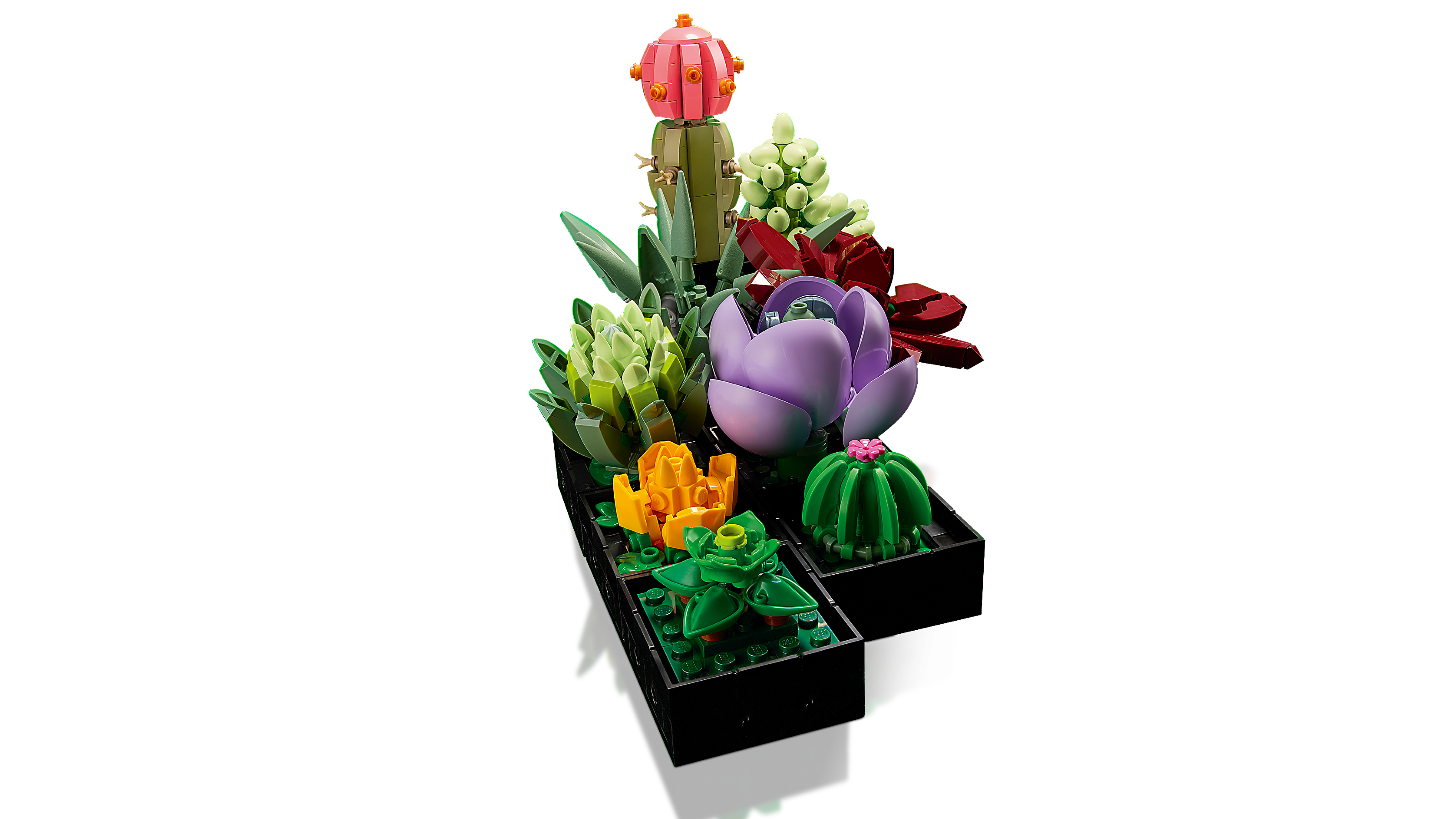 Les succulentes 10309, LEGO® Icons