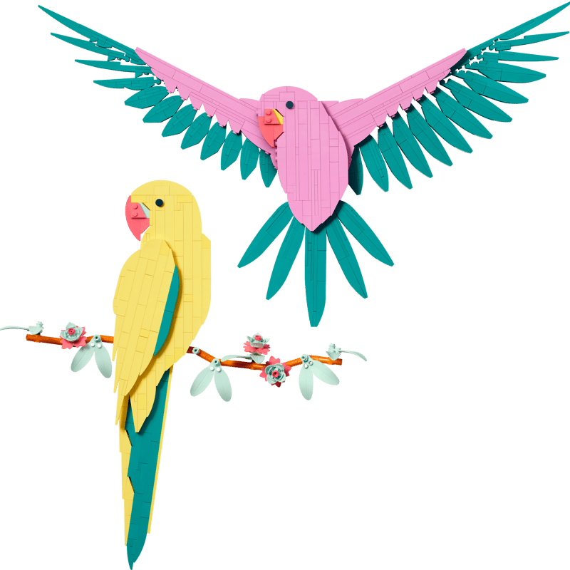 The Fauna Collection – Macaw Parrots