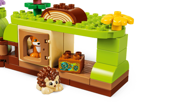 Discovery Forest with Wild Animals - Image 8