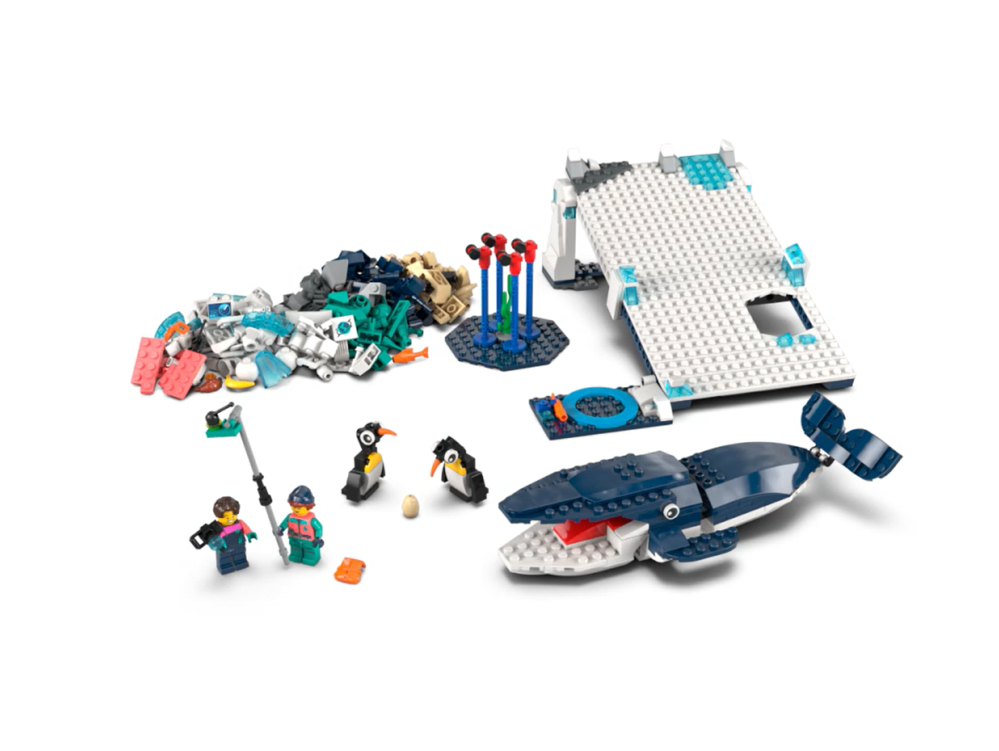 Antarctic Animals Science Kit - Image 4