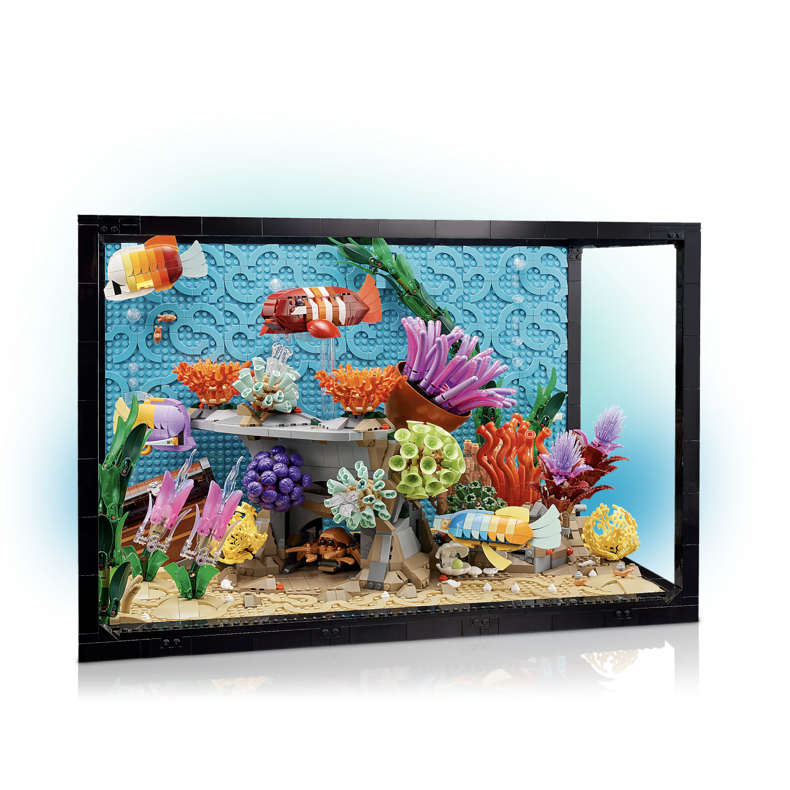 urocoが作った海水魚アクアリウムフルセット 60cm水槽セット サンゴ簡易育成フルコンプリート 海水アクアリウム