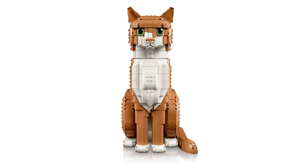 LEGO 21376 Le chat roux — visuel 3 sur 8