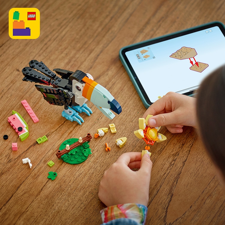 Wild Animals: Tropical Toucan 31173 | Creator 3-in-1 | Buy online at the Official LEGO® Shop US