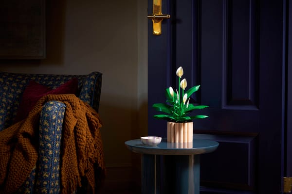 Peace Lily - Image 12