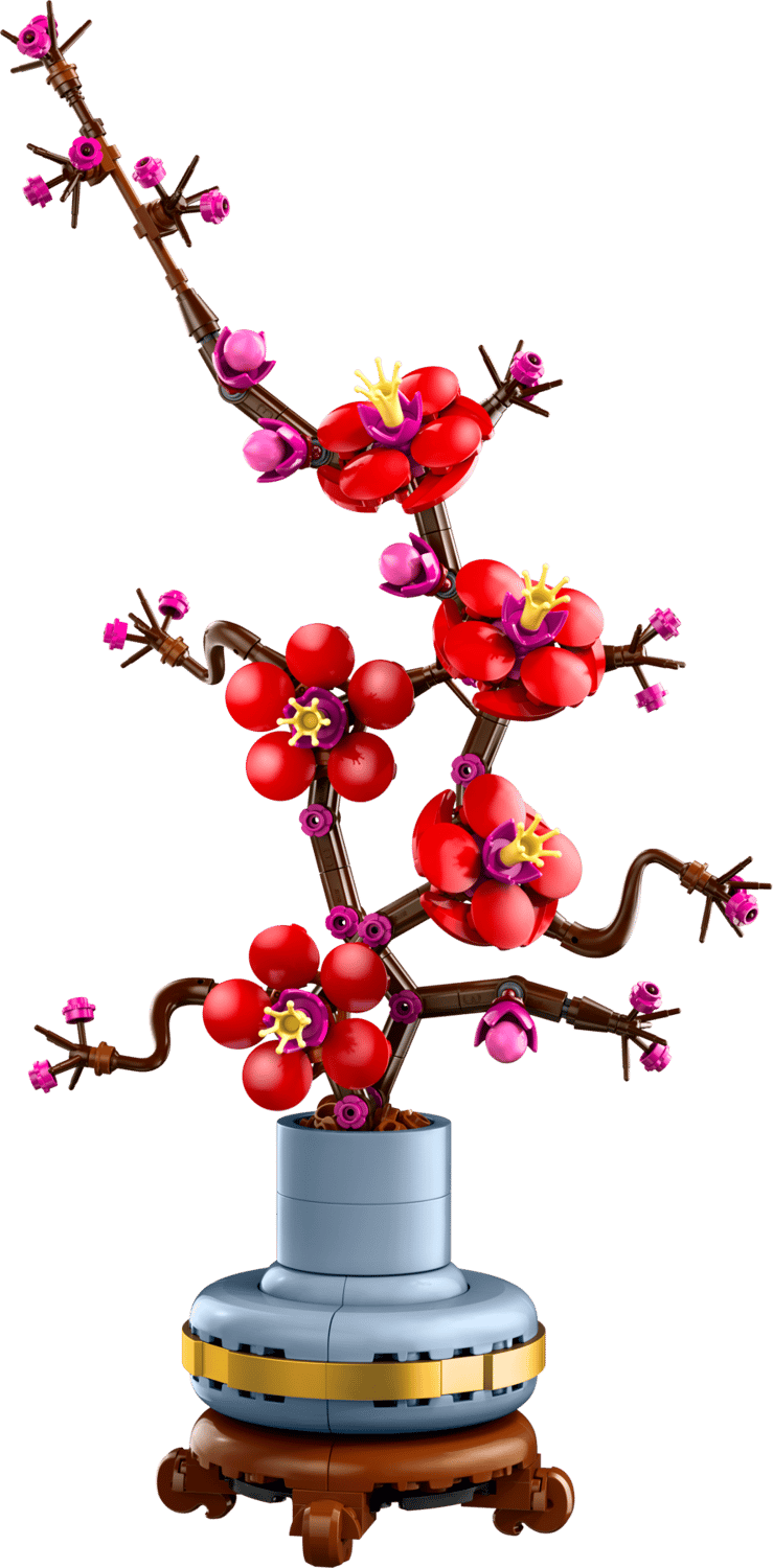 Plum Blossom 10369 | The Botanical Collection | Buy online at the ...