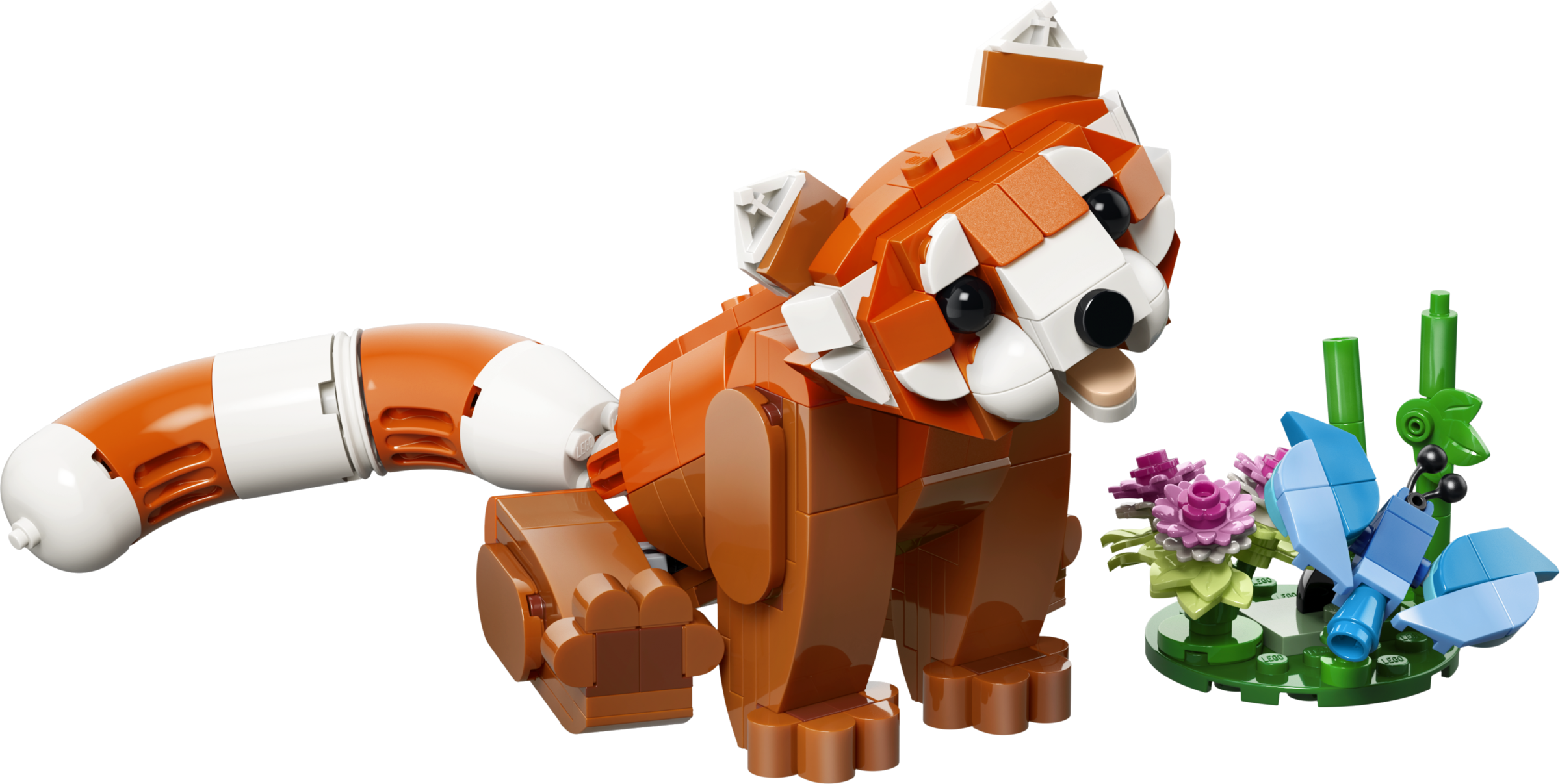 Söta djur: Röd panda