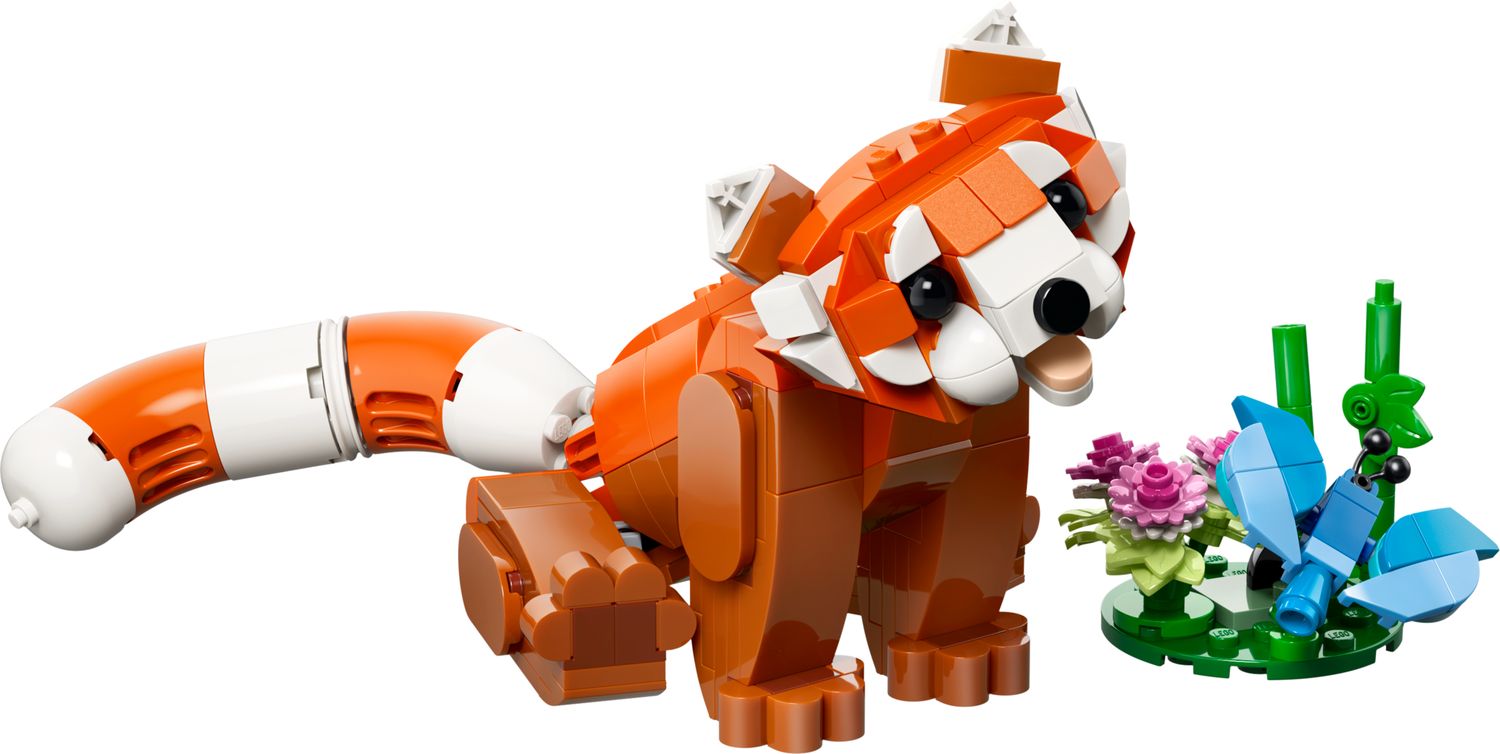 Söta djur: Röd panda