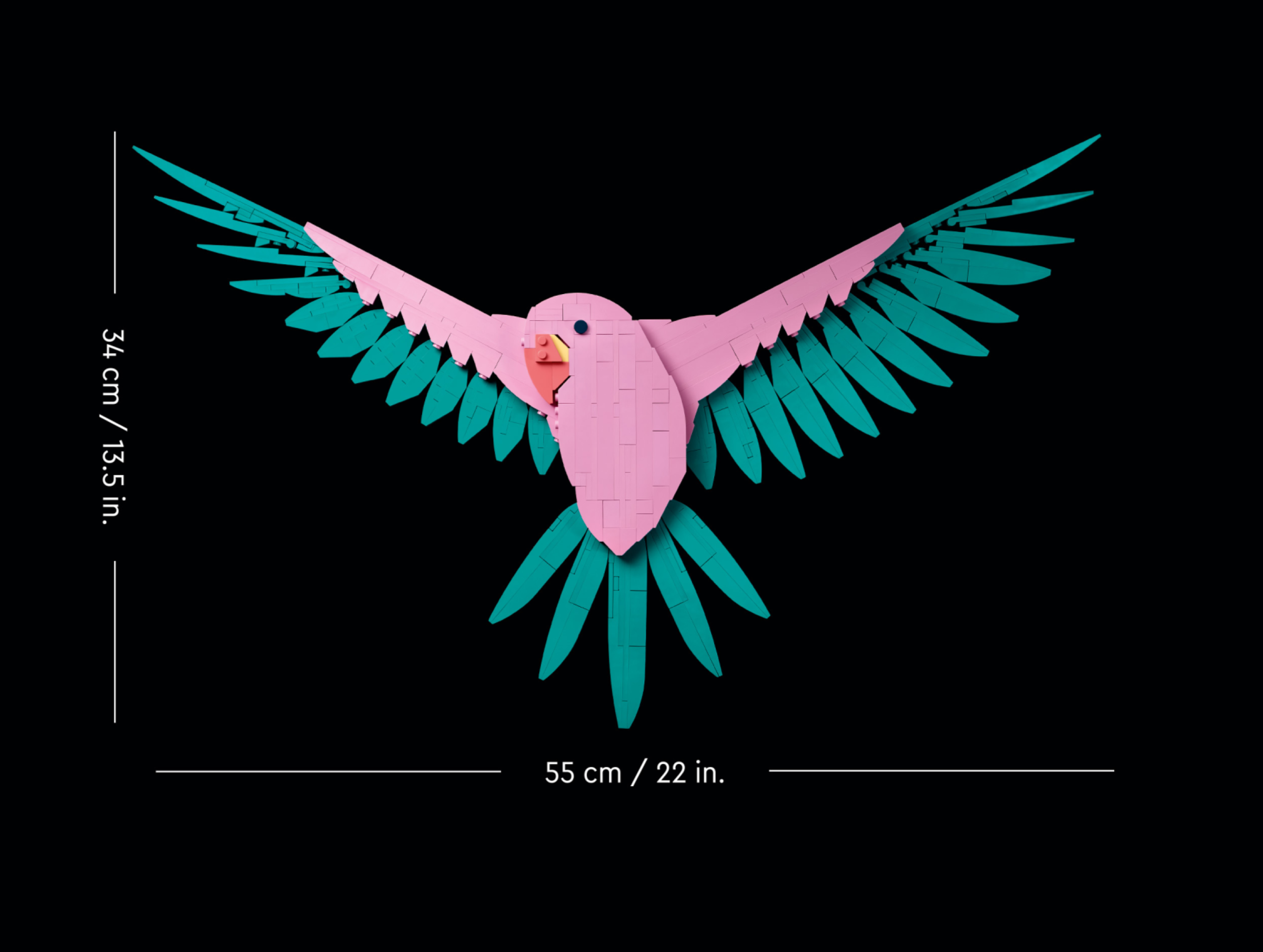 The Fauna Collection – Macaw Parrots