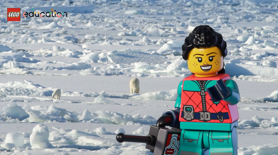 Arctic Animals Science Kit 45203 | LEGO® Education | Buy online at