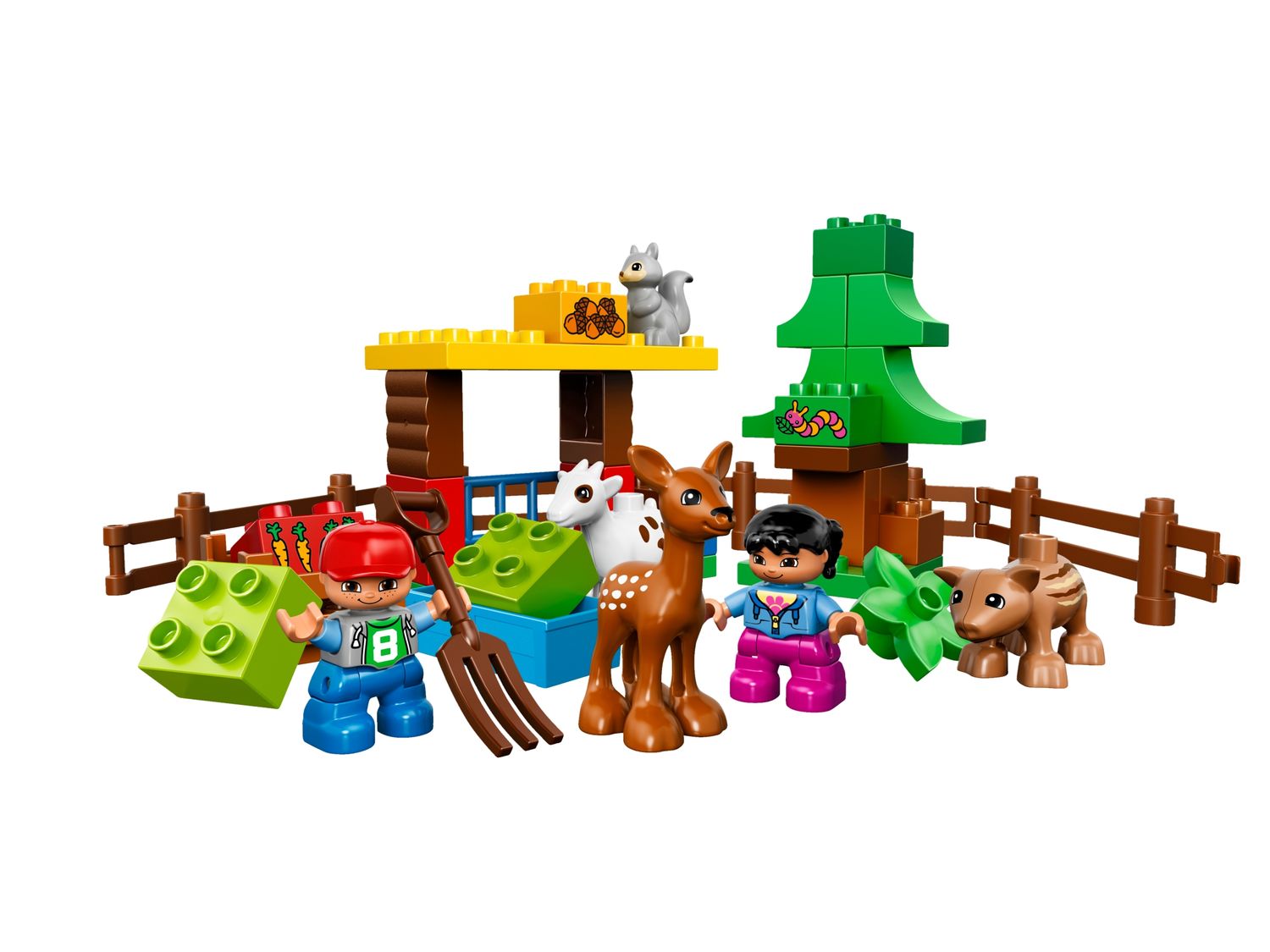 Forest: Animals
