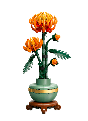 Le chrysanthème