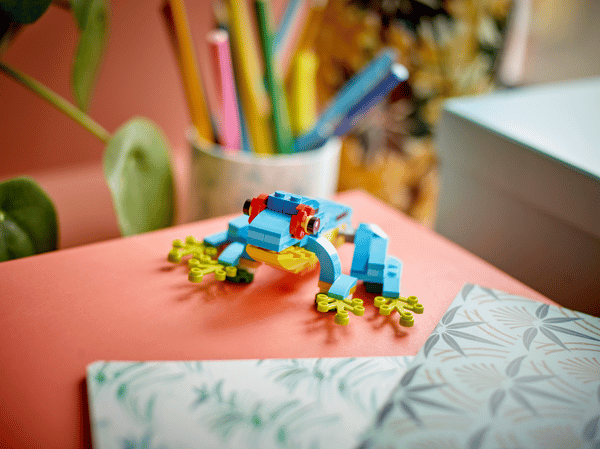 Exotic Parrot - Image 13