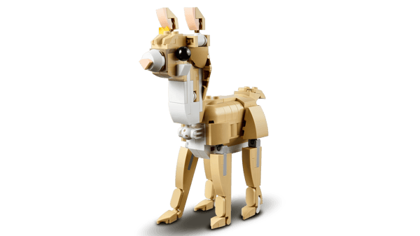 Cute Bunny - Image 7