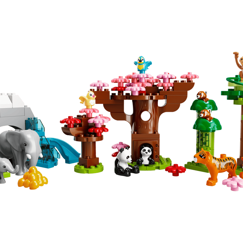 10974.png?fit=crop&quality=80& 10974.png?fit=crop&quality=80&