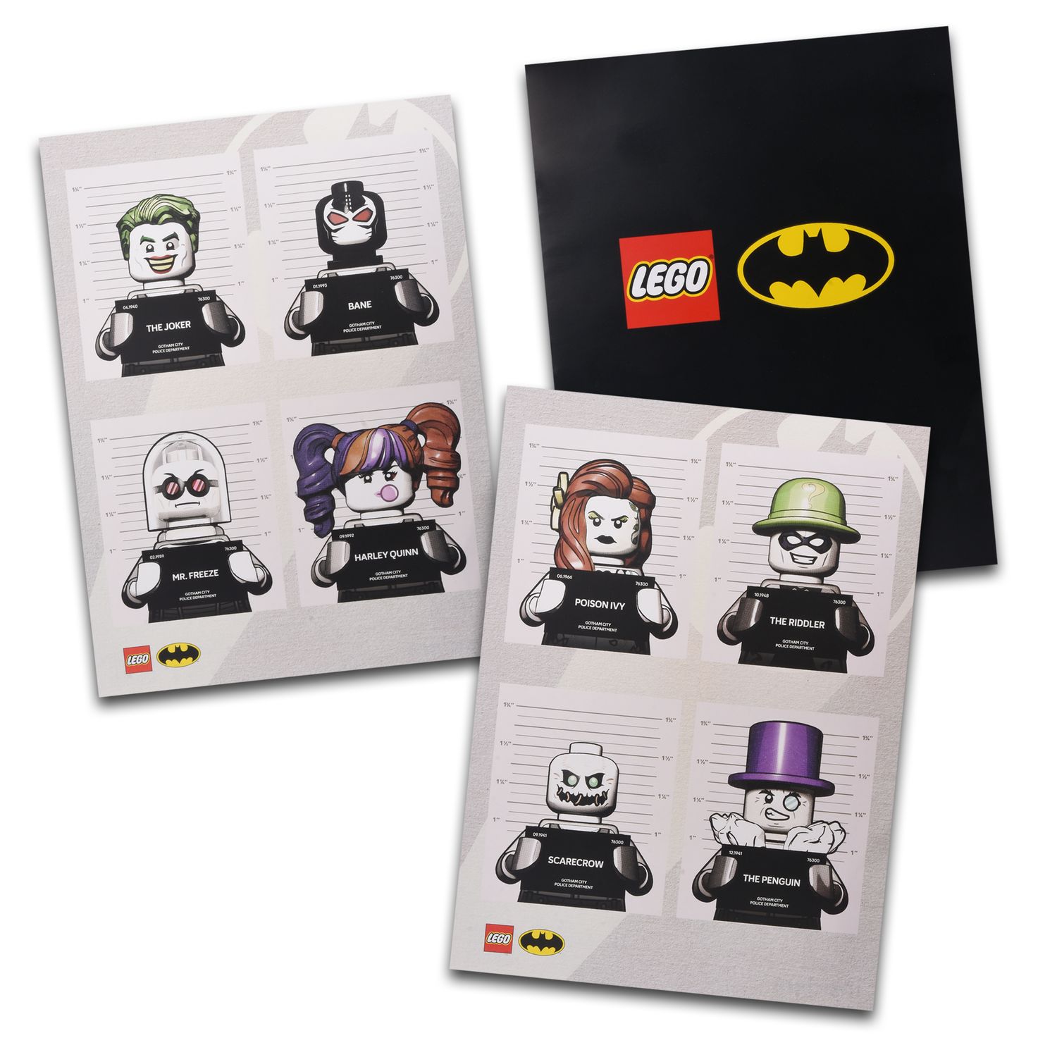 Insiders: Pósters de Batman™ con Ilustraciones de Arkham Asylum™ (Juego de 2)