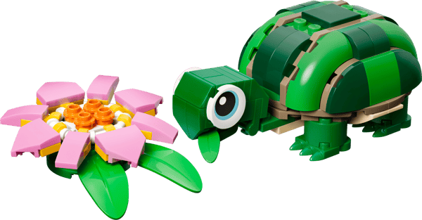 Turtle with a Water Lily Flower - Image 1