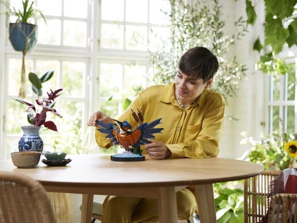 Kingfisher Bird - Image 9