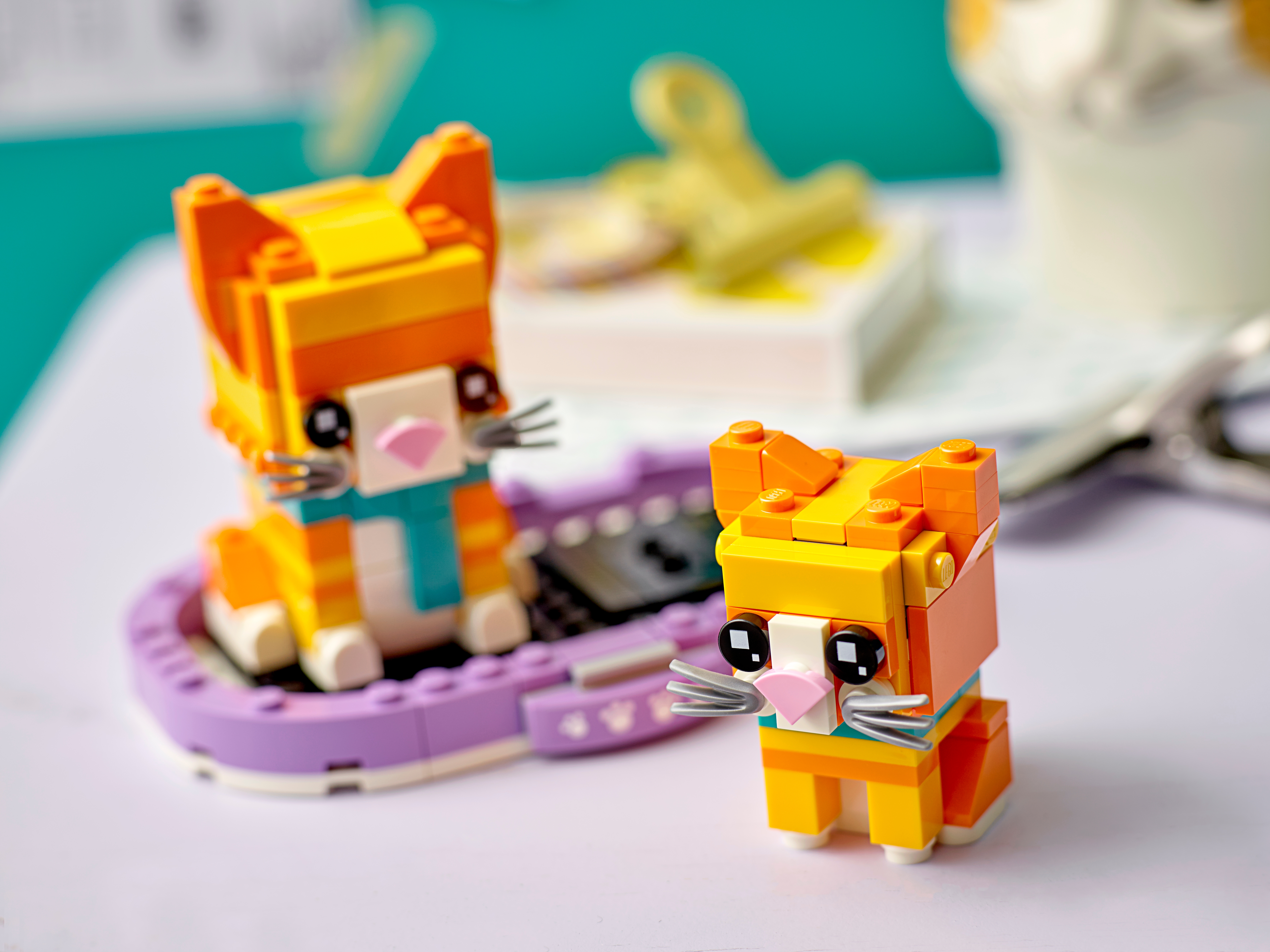 Gatos jogando lego jogo colorido gato