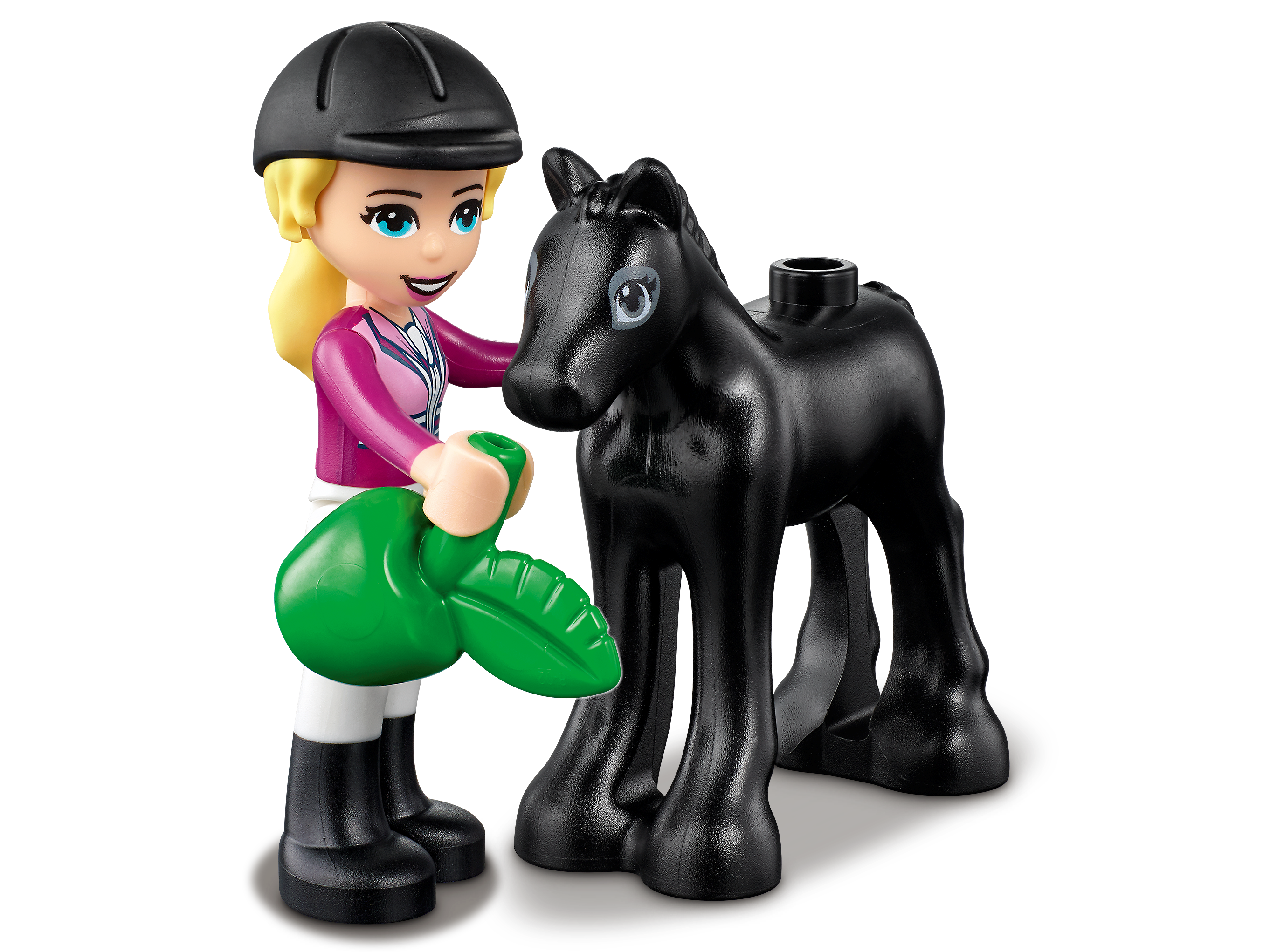 Horse Training and Trailer 41441 | Friends | Buy online at the