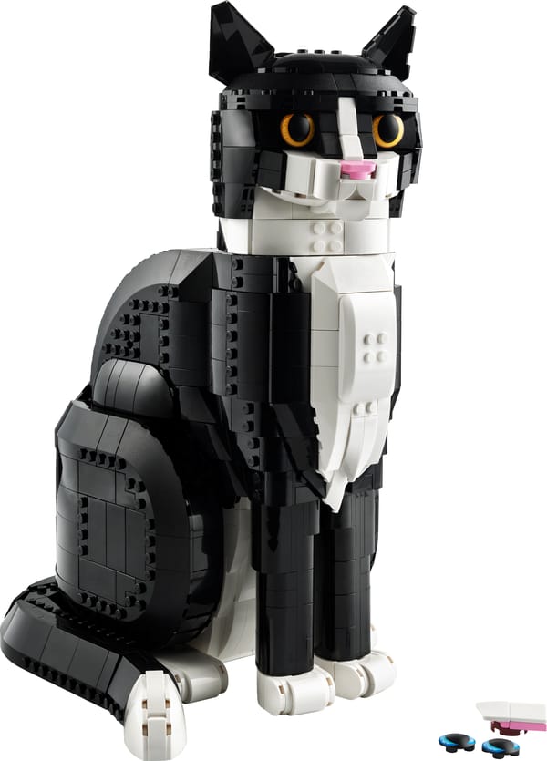Tofarvet kat