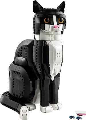 Le chat bicolore