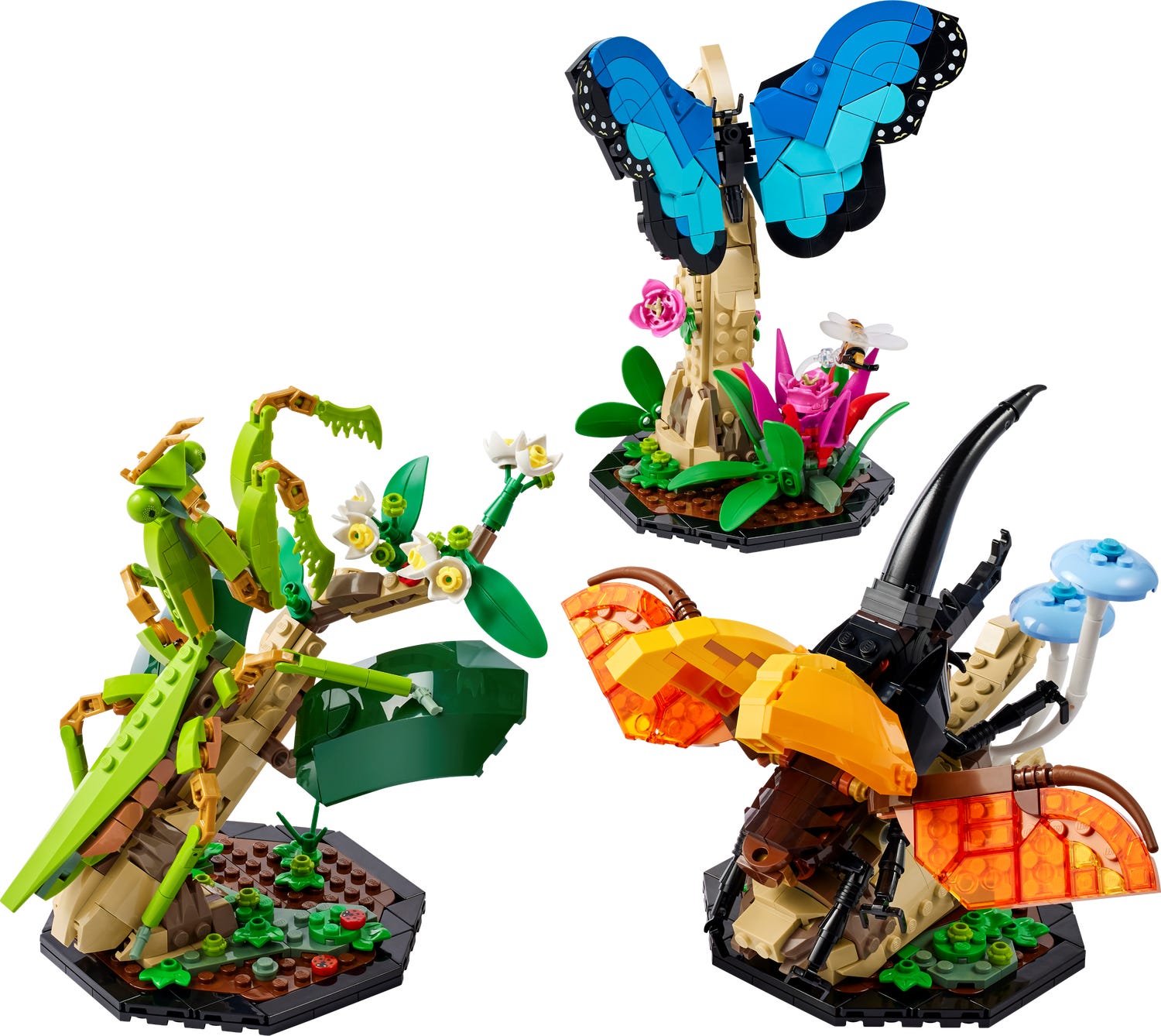 Colección de Insectos 21342 | Ideas | Oficial LEGO® Shop ES