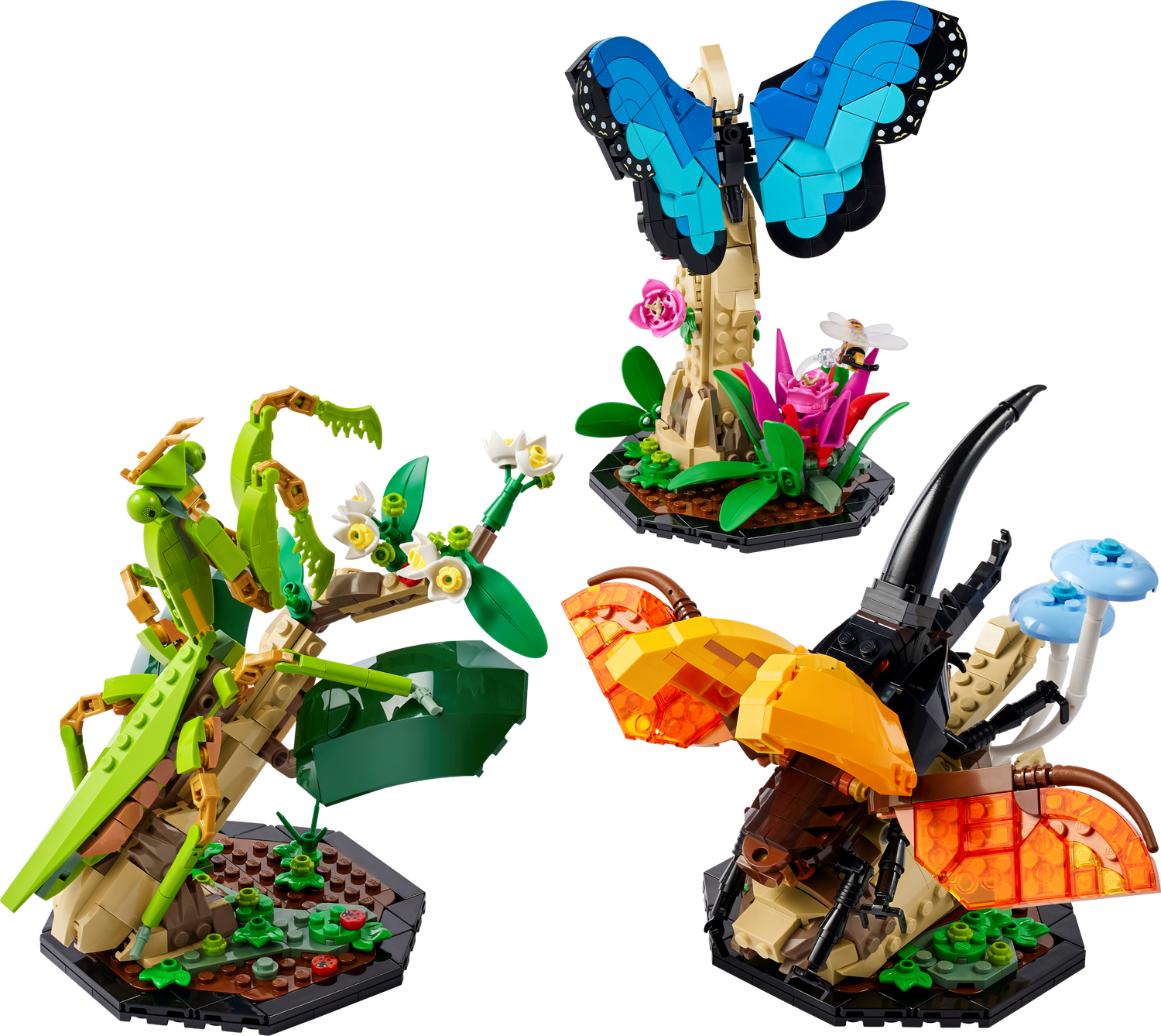 La collection d’insectes 21342 | Ideas | Boutique LEGO® officielle FR 