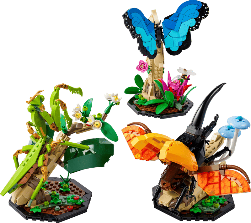 La collection d’insectes - Image 1