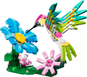 Wild Animals: Colorful Hummingbird