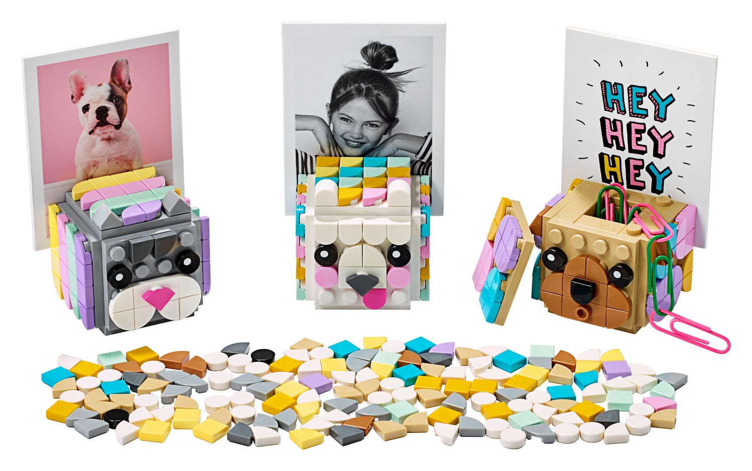 Les cubes-photo Animaux