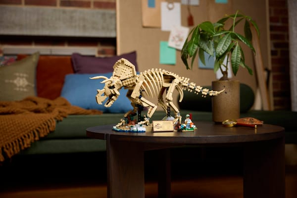 Dinosaur Fossils: Triceratops - Image 17