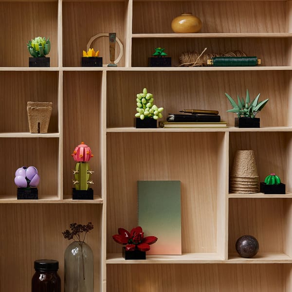 Succulents - Image 6