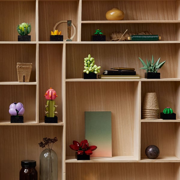 LEGO 10309 Les succulentes — visuel 4 sur 8