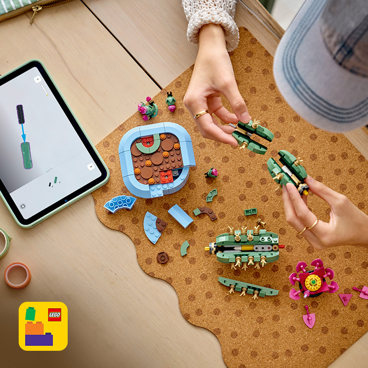 Flowering Cactus 11509 | Botanicals | Buy online at the Official