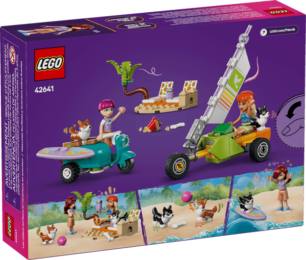 Surfing Dogs and Scooter Adventure - Image 12