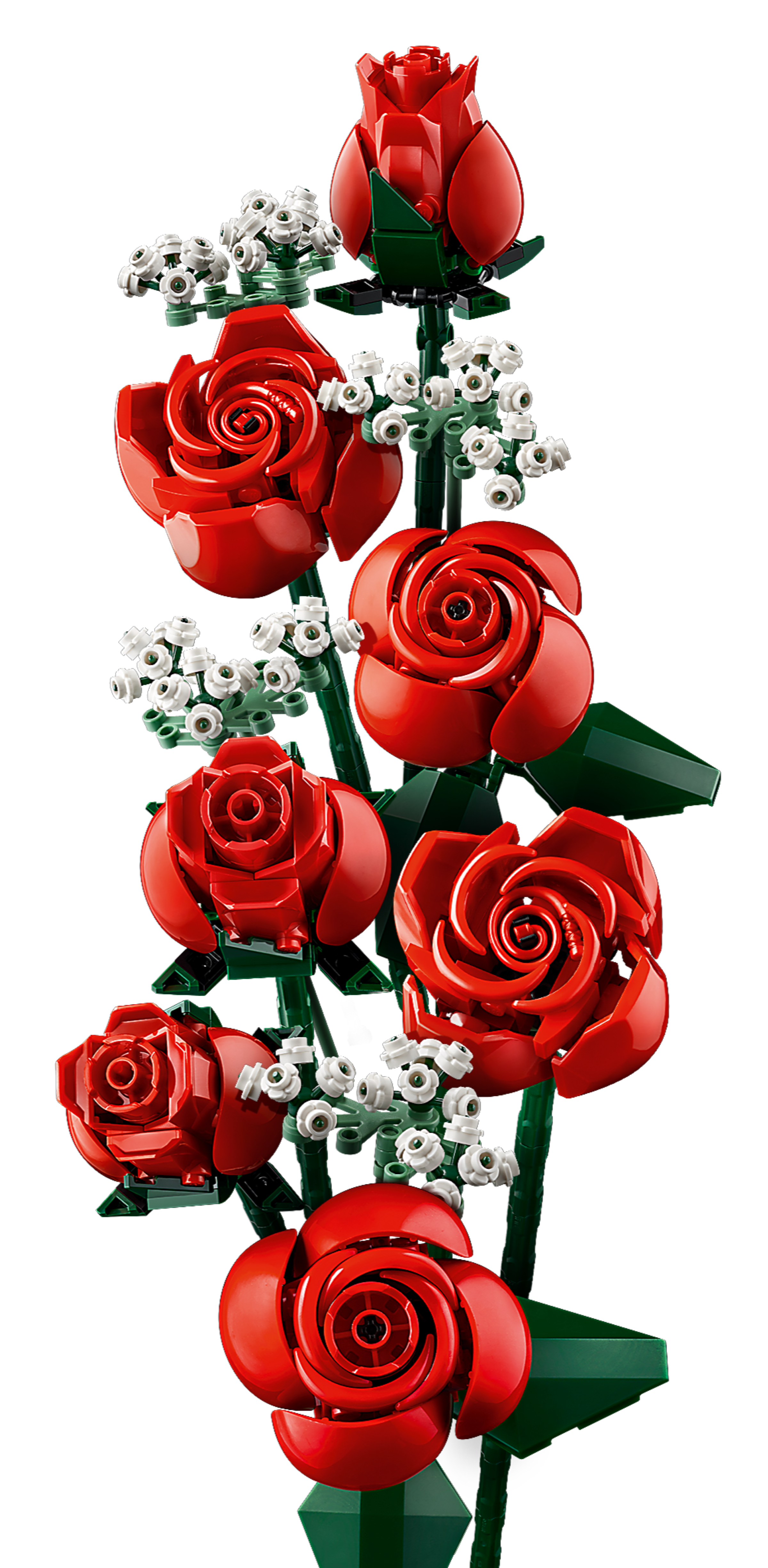 Bouquet di rose 10328, The Botanical Collection