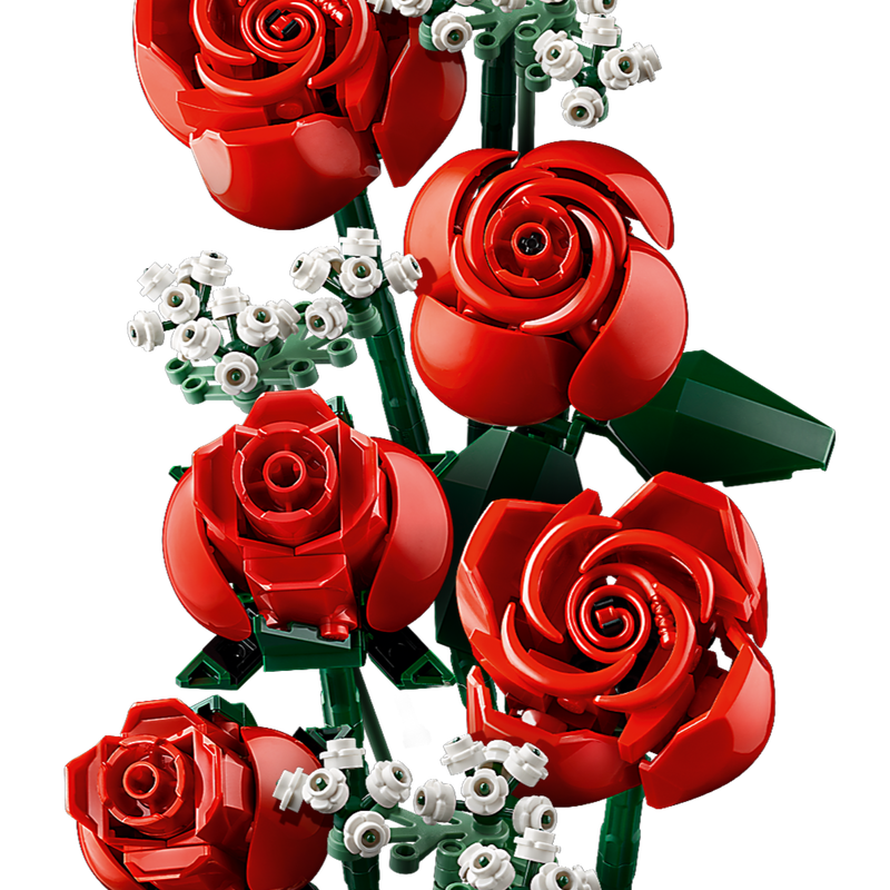 Bouquet of Roses