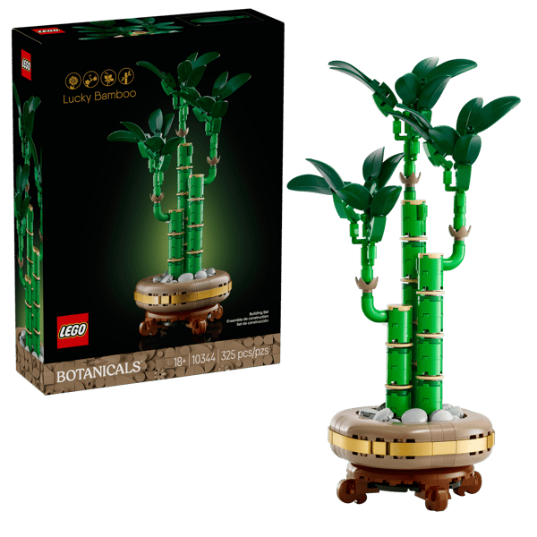 LEGO 10344 Le bambou de la chance — visuel 2 sur 8