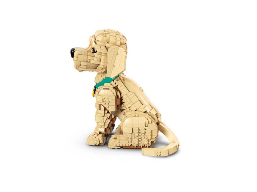 Golden Retriever Puppy - Image 4