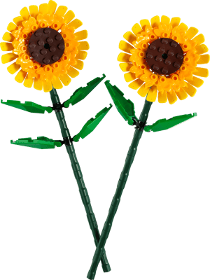 Tournesols