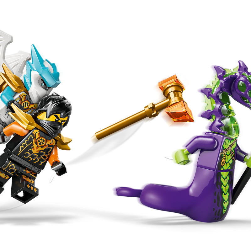 Cole's Mission Mech & Dragon Zane