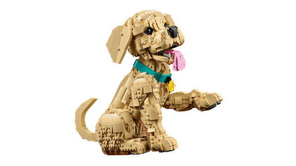 LEGO 11384 Le chiot Golden Retriever — visuel 3 sur 8