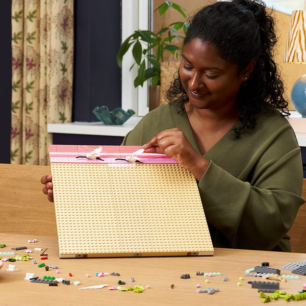 Les cerisiers en fleurs